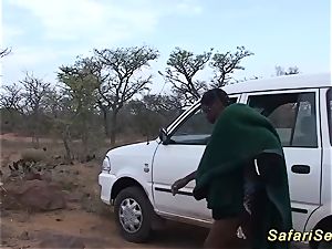mischievous african safari lovemaking lovemaking